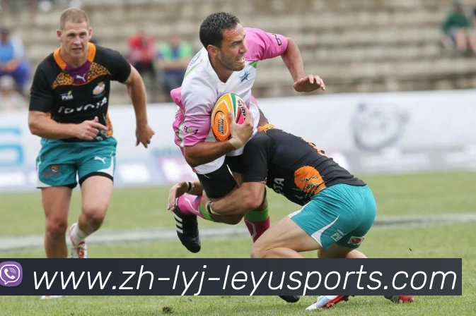 App Interface Preview